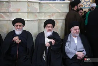 پیکر مرحوم آیت‌الله سید هادی سیستانی برادر مرجع عالی‌قدر سید علی سیستانی عصر امروز ۲۸ دی از مسجد امام حسن عسکری (ع) تا حرم حضرت فاطمه معصومه (س) تشییع شد.