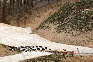 در حاشیه  انشعابات رود کارون عشایر به دلیل پرورش دام و مناطق گیاهی فصل هایی از سال را به آنجا  کوچ میکنند و در کنار قطعات یخ های بزرگ و برف در دامنه کوه ها و در کنار انشعابات رود فصل هایی از سال را زندگی میکنند .