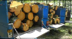 قاچاقچیان چوب، کارگران نکاچوب را با قمه زخمی کردند / مراجع قضایی تا امروز در این موارد کاری نکرده‌اند + فیلم