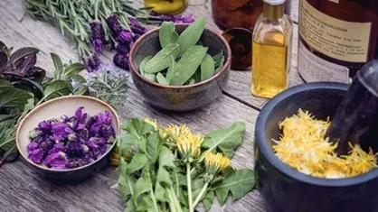 سیاست&zwnj;گذاری&zwnj;ها در صنعت گیاهان دارویی با اجرایی شدن ۷۶ اقدام ملی کارآمدتر می&zwnj;شود