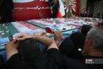 دبب