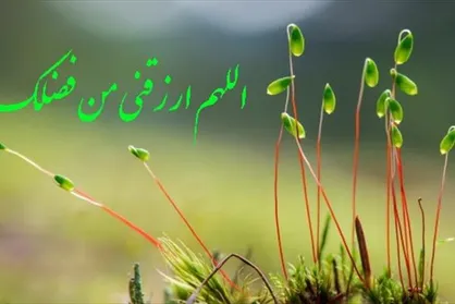 ویژگی&zwnj;های تجارت سالم از منظر قرآن