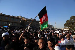 تشیع