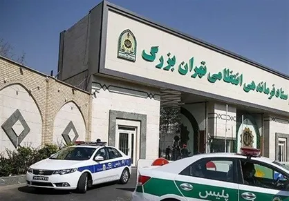 ماجرای سرقت مسلحانه از مونا فرجاد تکذیب شد
