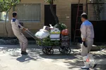 باغ وحش ارم سبز 