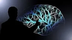 ۷۰ پژوهش شناختی در مسیر توسعه قرار گرفت
