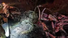 عملیات استشهادی در جنوب کرانه باختری/ مجروح شدن یکی از فرماندهان ارشد صهیونیست‌ها