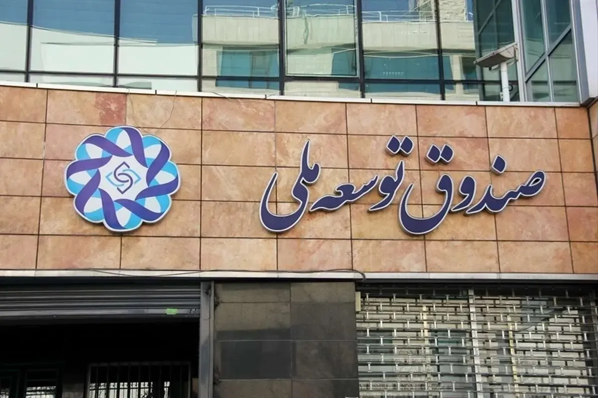 رئیس جدید هیات عامل صندوق توسعه ملی منصوب شد