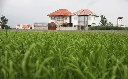 زیان&zwnj;ها و آسیب&zwnj;های تغییر کاربری