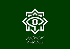 بازداشت ۳۰ سردسته و مزدور دشمن دخیل در کودتای دی
