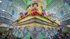 گل‌آرایی ضریح مطهر امام حسین (ع) همزمان با فرارسیدن میلاد حضرت زهرا (س)
