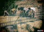 گروه جهادی دانشکده فنی
