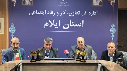۶۵ درصد تعاونی&zwnj;های استان ایلام فعال هستند