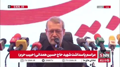 لاریجانی: شهید همدانی در همه مسائل  مهم کشور و در ابتدای انقلاب شجاعانه حضور داشت
