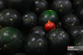 yalda