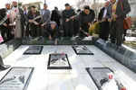 دانشگاه