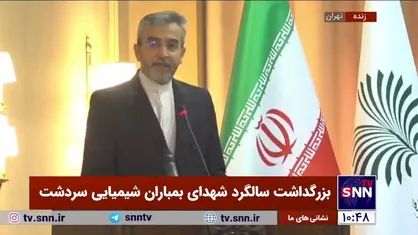 باقری: در خصوص مطالبه به حق جانبازان و قربانیان سلاح&zwnj;های شیمیایی منتظر اقدام و پاسخ درخور مراجع ذی&zwnj;صلاح آلمانی هستیم