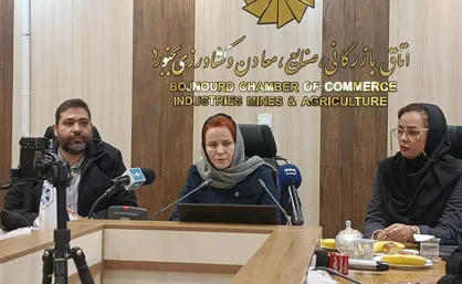 رئیس کمیسیون سرمایه گذاری اتاق بازرگانی بجنورد: جذب نشدن سرمایه گذار دلیل بر کم کاری ما نیست