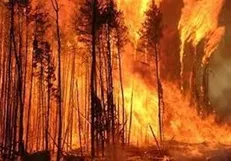 گسترش آتش‌سوزی جنگل‌ها در شرق کانادا