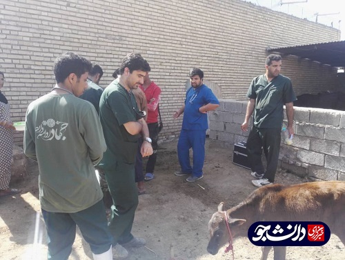 فعالیت جهادگران بسیج دانشجویی دانشگاه آزاد شوشتر در مناطق سیل زده شعیبیه