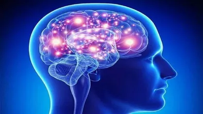 ابتلا به کرونا مغز شما را ۱۰ سال پیر می&zwnj;کند!