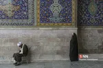زائر