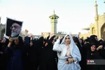دبب