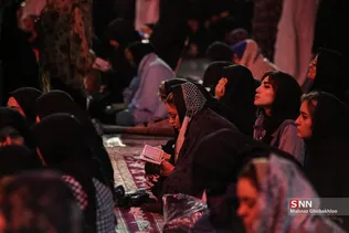 دبب