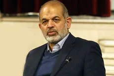 وحیدی: در تحلیل‌های جمعیتی دچار یک اشتباه بزرگ شده‌ایم