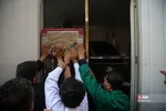 دبب