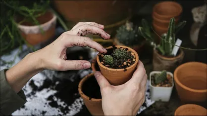 &laquo;رویش&raquo; توانمندی&zwnj;های بخش باغبانی را بررسی می&zwnj;کند