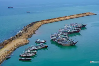 بریس