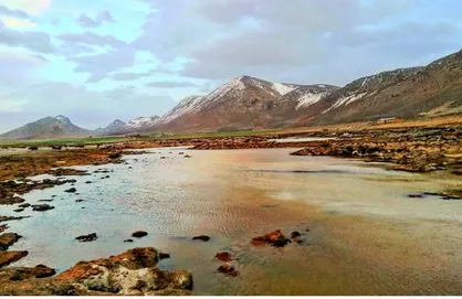 مصمم هستیم تجربه موفق احیای تالاب را تسری دهیم
