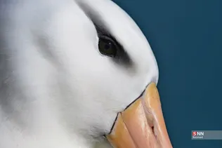 324234