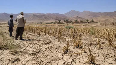 ۹۹.۹۸ درصد مساحت خراسان جنوبی درگیر با خشکسالی