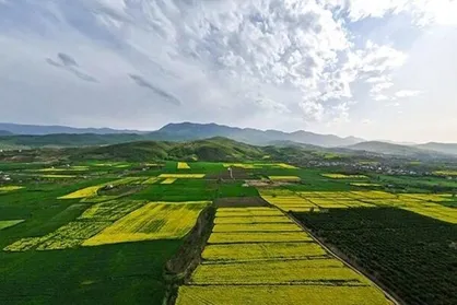 ۲۲۰۰ پروانه کسب کشاورزی در شهرستان سامان صادر شد