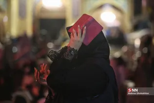 دبب