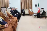 دبب