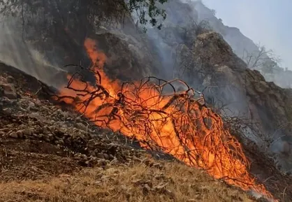وقوع ۹ آتش سوزی طی روز جمعه در کهگیلویه و بویراحمد
