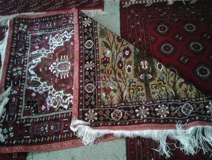 اشتیاق عرب های حاشیه خلیج فارس به فرش &laquo;دو روی دیدوخ&raquo; / رنجبره تولید فرش در خراسان شمالی وجود ندارد