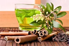 ۳۹ طرح کامل کارآفرینی صنعت گیاهان دارویی در دسترس قرار گرفت