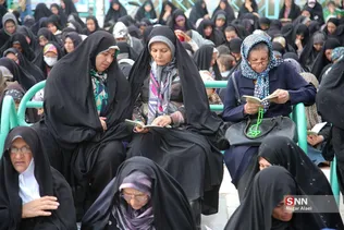 دبب
