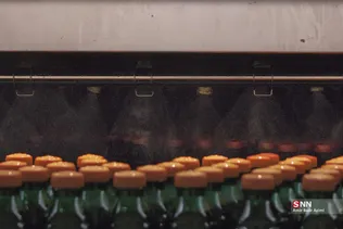 546546