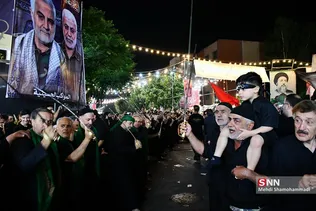 دبب