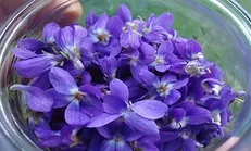 طرز تهیه 