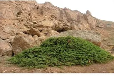 شناسنامه ۴۰ غار در استان اردبیل تهیه شده است