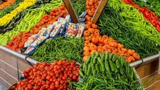 شهردار پردیس: مجوز ساخت میدان میوه و تره‌بار مرکزی با مساحت ۳۲ هزار مترمربع صادرشد