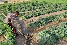 ماندگاری در روستا منوط به خدمت رسانی شایسته است