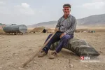 عشایر
