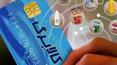 اجرای طرح کالابرگ تا پایان سال منتفی است